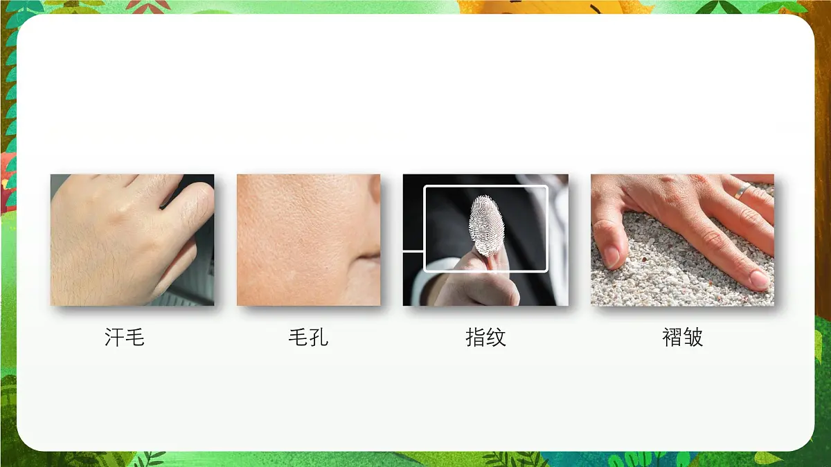 青岛版(五四制2024)科学一上2.6 摸一摸 课件第4页