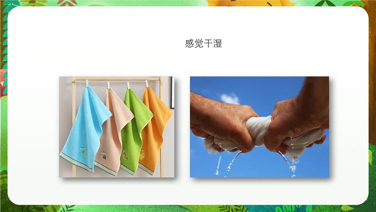 青岛版(五四制2024)科学一上2.6 摸一摸 课件第7页