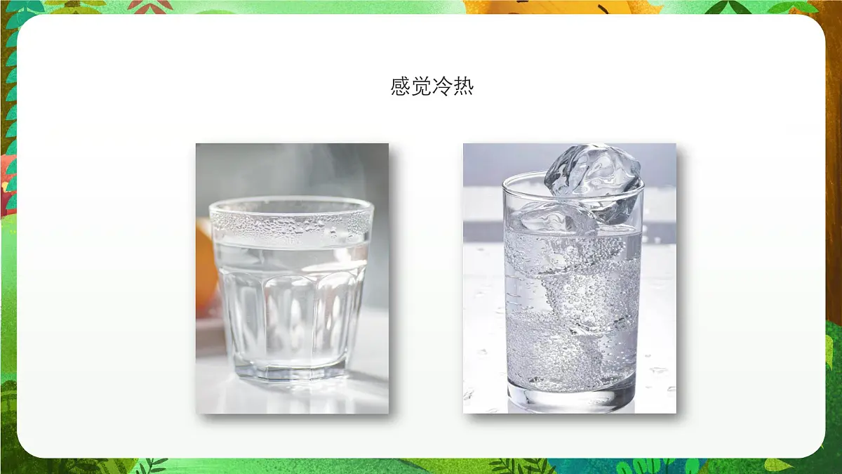 青岛版(五四制2024)科学一上2.6 摸一摸 课件第8页
