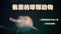 科学四年级上册我国的珍稀动物授课ppt课件