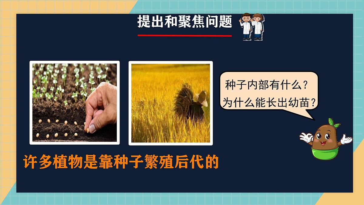 2.4《用种子繁殖》2025新做的课件第3页