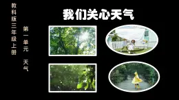 教科版小學(xué)科學(xué)三年級上冊 1.1《我們關(guān)心天氣》 課件