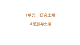 小學(xué)科學(xué)新蘇教版三年級(jí)上冊(cè)第一單元4.植被與土壤教學(xué)課件（2025秋）