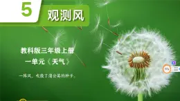 教科版小學(xué)科學(xué)三年級上冊 1.5 《觀測風(fēng)》 課件