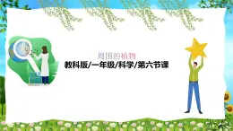 教科版（2024）一年級上冊科學(xué)《校園里的植物》課件+教學(xué)設(shè)計(jì)