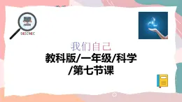 教科版（2024）一年級上冊科學(xué)《我們的身體》課件+教學(xué)設(shè)計(jì)