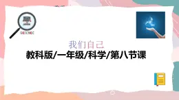 教科版（2024）一年級上冊科學(xué)《發(fā)現(xiàn)生長》課件+教學(xué)設(shè)計(jì)