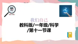 教科版（2024）一年級上冊科學(xué)《通過感官來發(fā)現(xiàn)》課件+教學(xué)設(shè)計(jì)