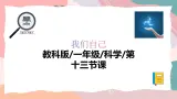 教科版（2024）一年级上册科學《制作“时间胶囊”》課件+教学设计