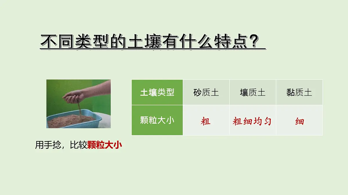 第18课 土壤与植物(课件)2025-2026学年粤教版三年级科学上册第5页