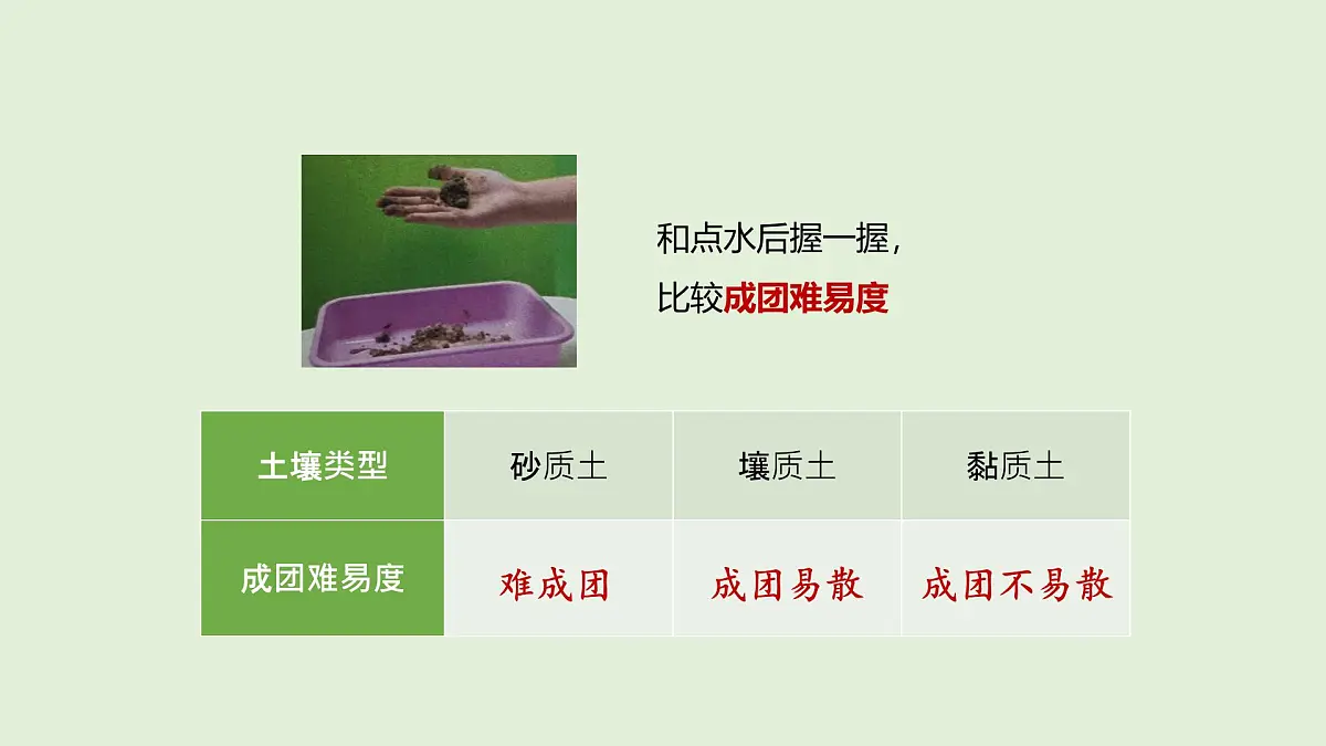 第18课 土壤与植物(课件)2025-2026学年粤教版三年级科学上册第6页