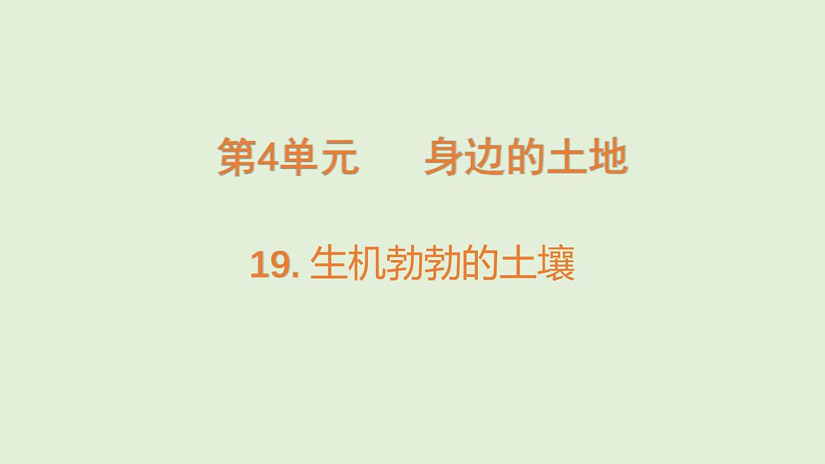 第19课 生机勃勃的土壤(课件)2025-2026学年粤教版三年级科学上册第1页