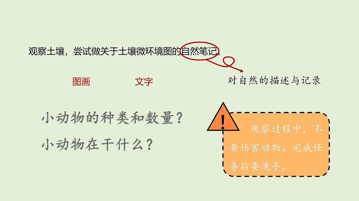 第19课 生机勃勃的土壤(课件)2025-2026学年粤教版三年级科学上册第4页