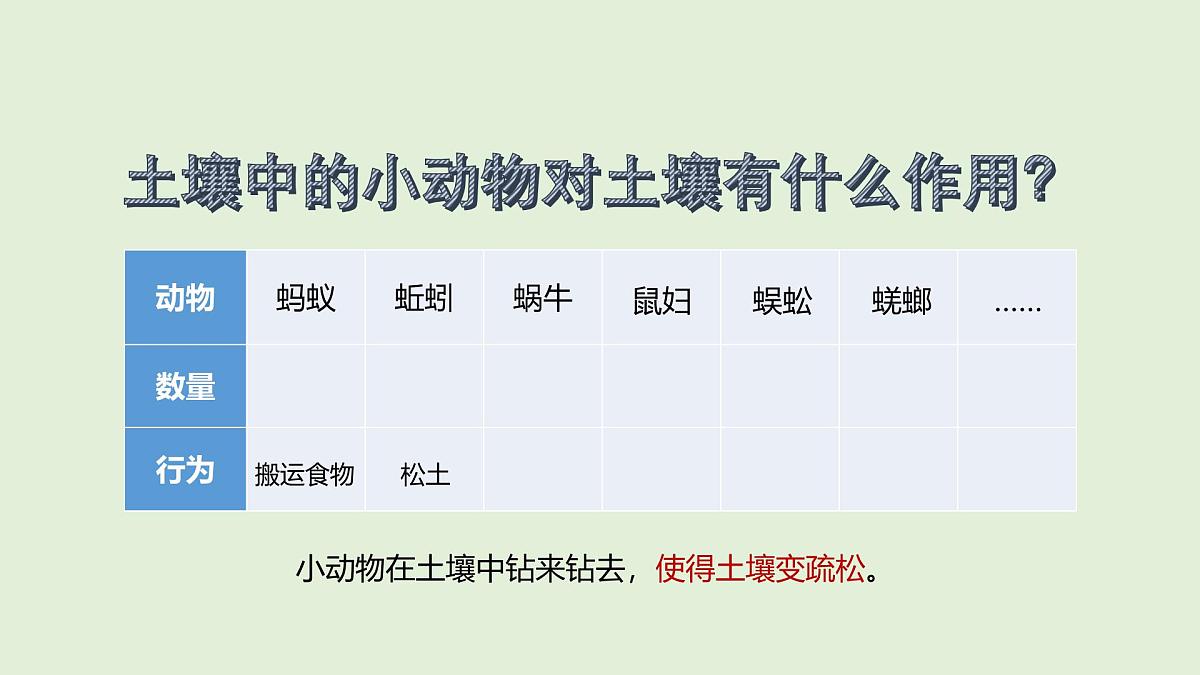 第19课 生机勃勃的土壤(课件)2025-2026学年粤教版三年级科学上册第5页
