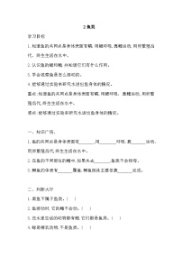 科学四年级上册鱼类课堂检测