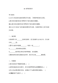 苏教版（2024）三年级上册食物的旅行测试题