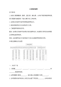 小学科学人教鄂教版（2024）三年级上册食物的营养复习练习题