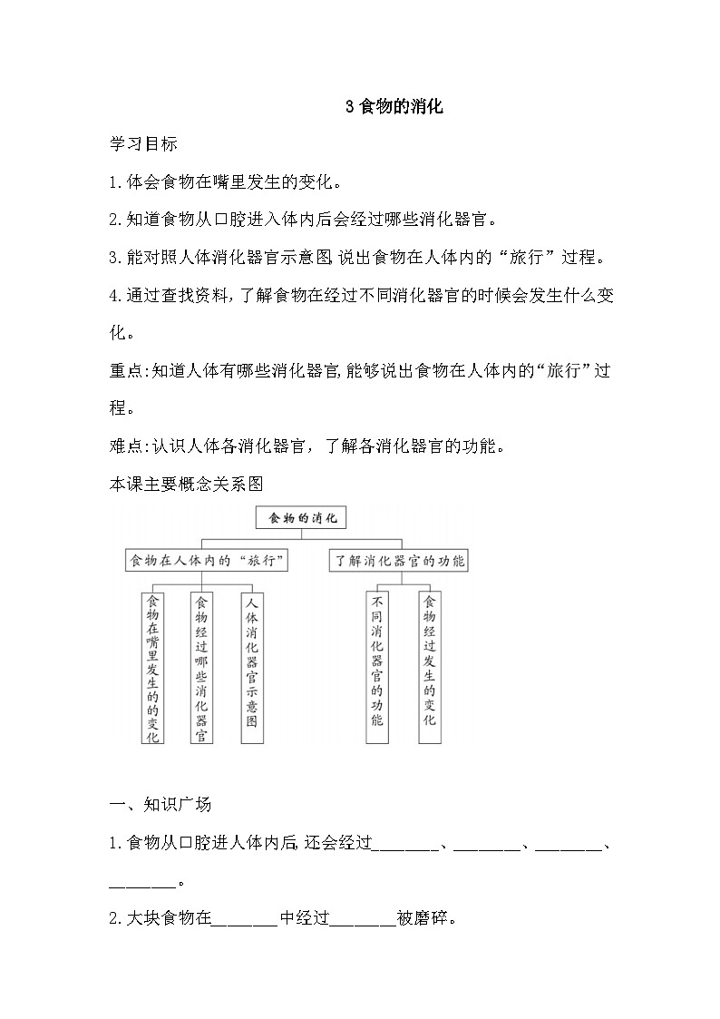 人教鄂教版科学三年级上册 3 食物的消化 一课一练(含答案)第1页