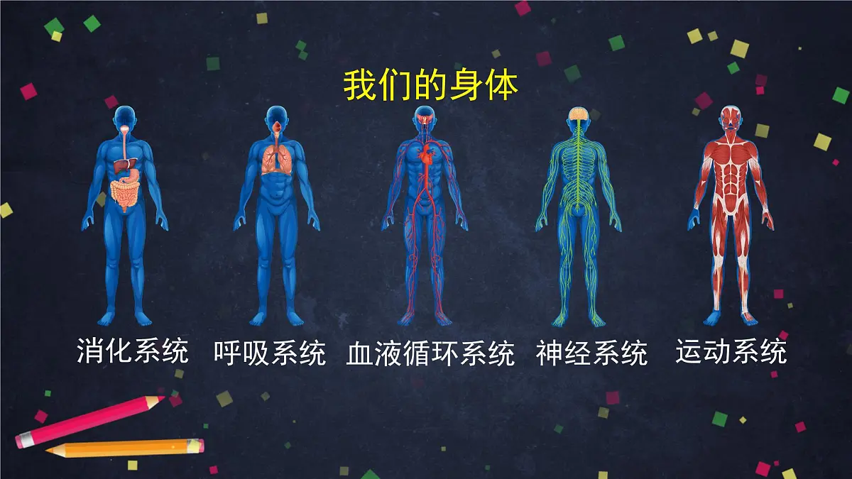 4.7 制订健康生活计划-课件第2页