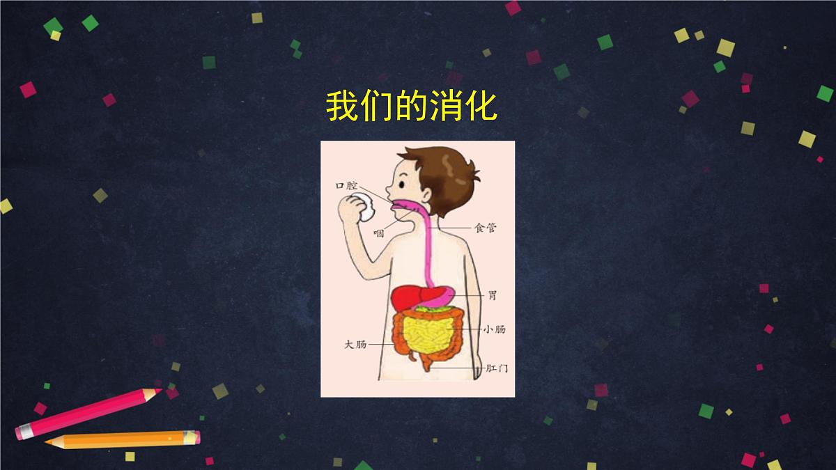 2025年(湘科版)四年级科学上册 我们的呼吸(一)-2课件第2页