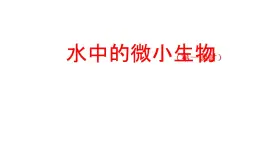 2025年秋人教鄂教版五年級(jí)科學(xué)上冊(cè) 8 水中的微小生物(第一課時(shí))-課件