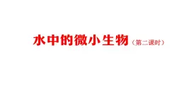 2025年秋人教鄂教版五年級(jí)科學(xué)上冊(cè) 8 水中的微小生物(第二課時(shí))-課件