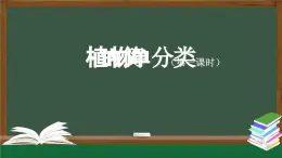 2025年秋人教鄂教版六年級科學上冊 2.4《植物的簡單分類》(課件+教案+任務單+練習)