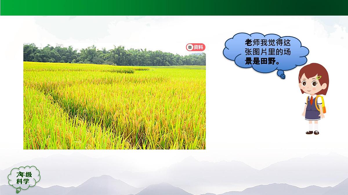 0921(人教版)六年级【科学上册】植物的简单分类(第一课时)-2课件第2页