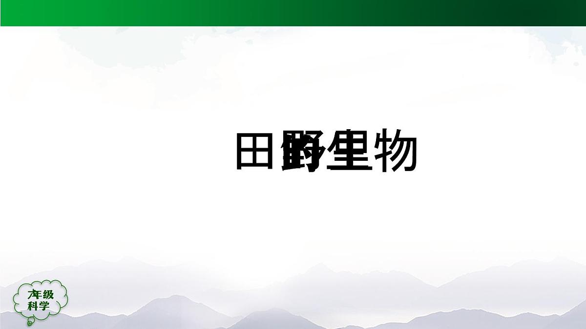 0921(人教版)六年级【科学上册】植物的简单分类(第一课时)-2课件第3页
