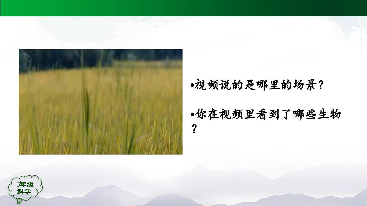0921(人教版)六年级【科学上册】植物的简单分类(第一课时)-2课件第4页