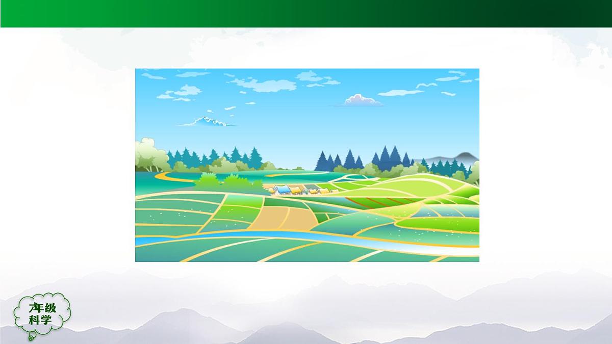 0921(人教版)六年级【科学上册】植物的简单分类(第一课时)-2课件第5页