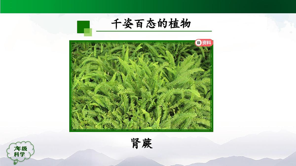 0921(人教版)六年级【科学上册】植物的简单分类(第一课时)-2课件第8页