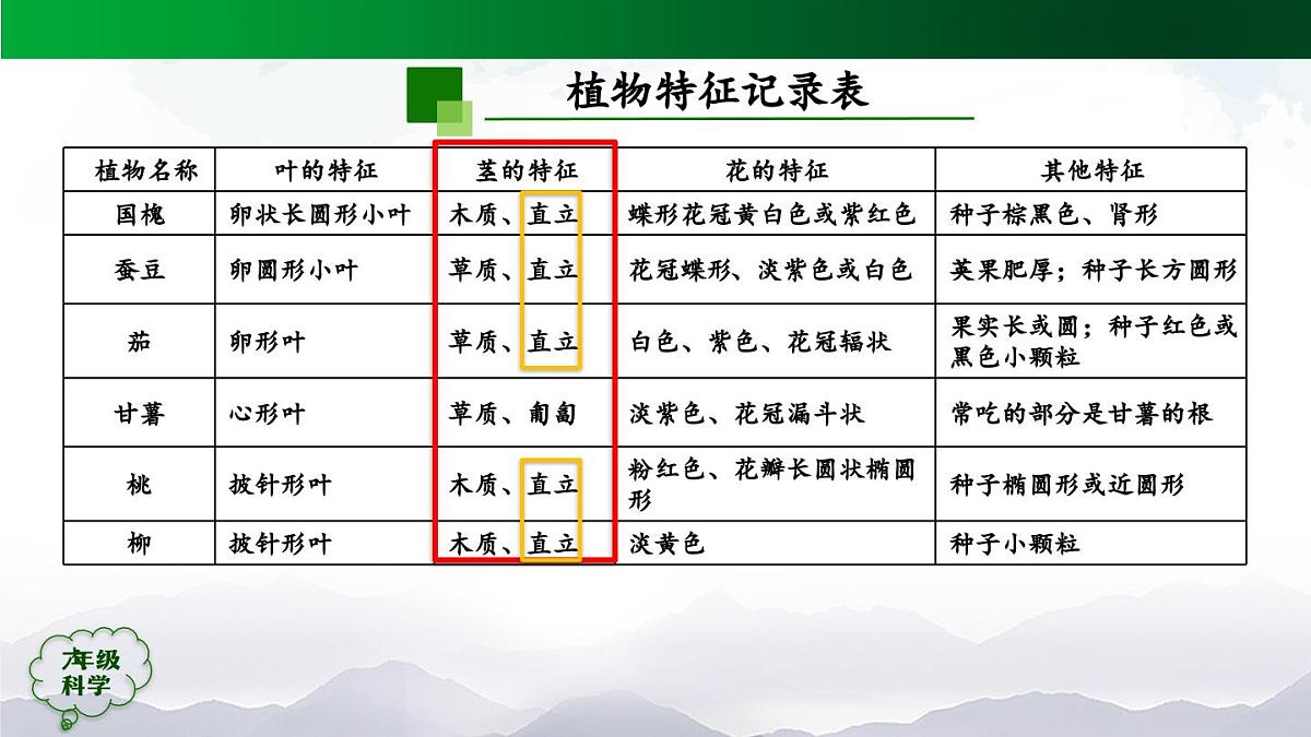 0922(人教版)六年级【科学上册】植物的简单分类(第二课时)-2课件第2页