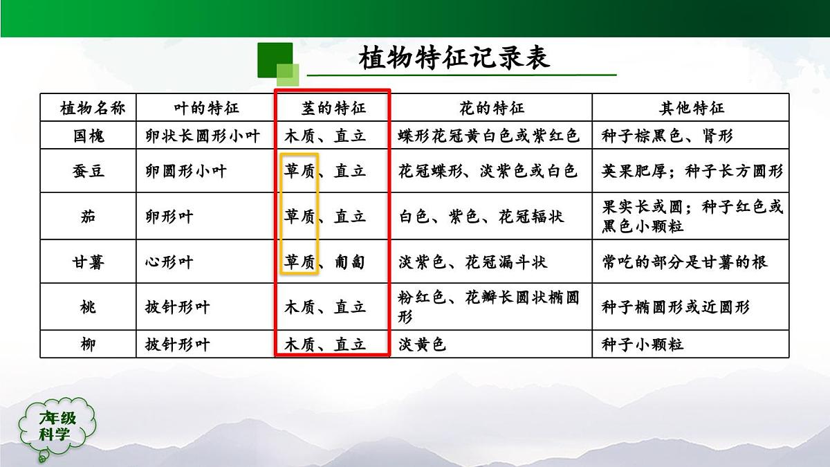 0922(人教版)六年级【科学上册】植物的简单分类(第二课时)-2课件第3页