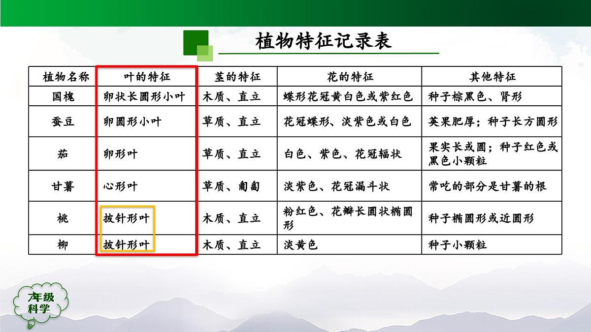 0922(人教版)六年级【科学上册】植物的简单分类(第二课时)-2课件第4页