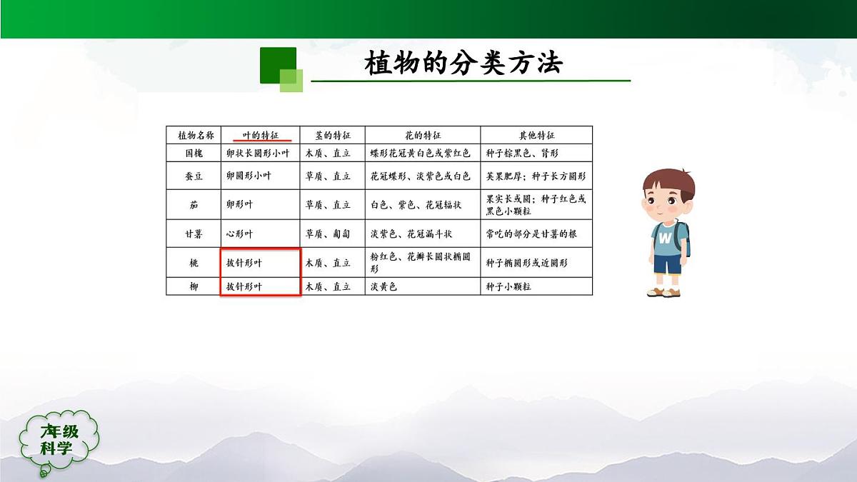 0922(人教版)六年级【科学上册】植物的简单分类(第二课时)-2课件第5页