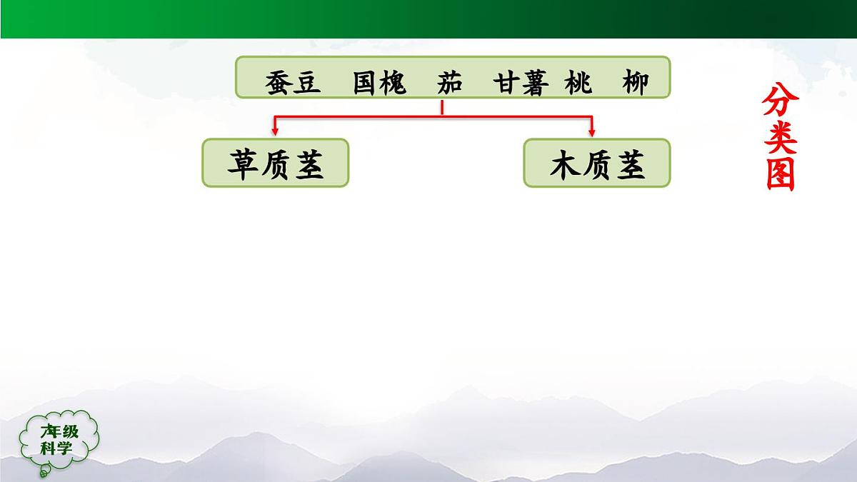 0922(人教版)六年级【科学上册】植物的简单分类(第二课时)-2课件第8页