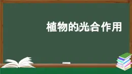 2025年秋人教鄂教版六年級科學上冊 2.5《植物的光合作用》(課件+教案+任務單+練習)