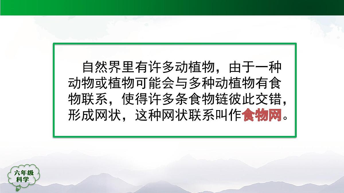 13(人教版)六年级【科学(人教鄂教版)】食物链(第二课时)-2课件第3页