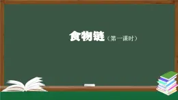 2025年秋人教鄂教版六年級科學上冊 2.6《食物鏈》(課件+教案+任務單+練習)