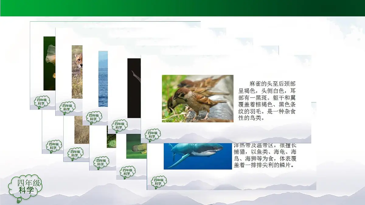 (人教鄂教版)四年级科学上册 动物的分类(第一课时)2课件第8页