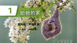 教科版（2024）小學(xué)科學(xué)二上 1.1動物的家課件2025新制作
