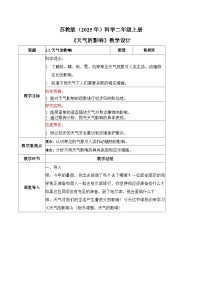 科学二年级上册（2024）1单元 关心天气2 天气的影响教案