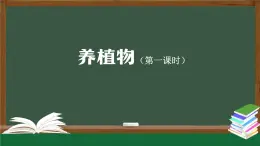 人教鄂教版二年級(jí)科學(xué)上冊(cè) 養(yǎng)植物-課件