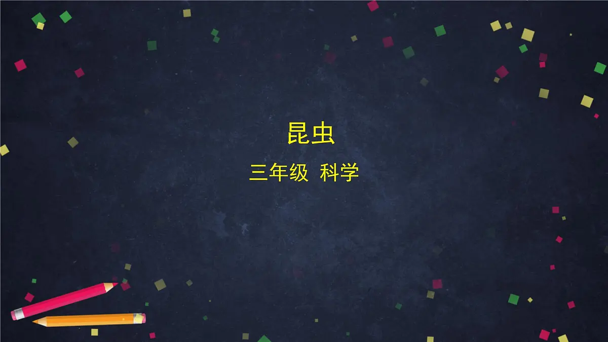(湘科版)三年级科学上册2.1 昆虫-教学课件第1页