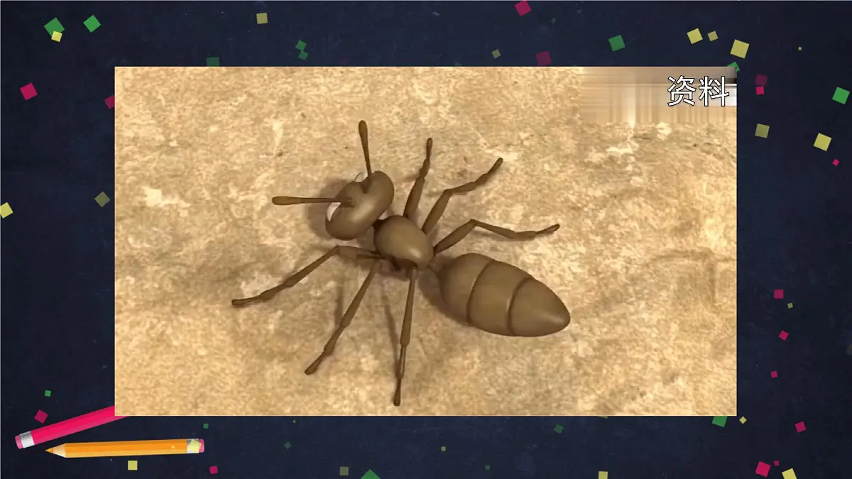 (湘科版)三年级科学上册2.1 昆虫-教学课件第3页