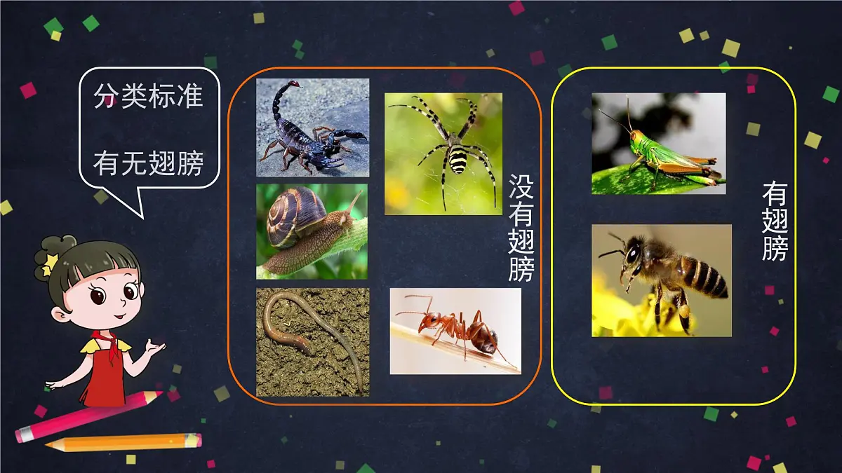 (湘科版)三年级科学上册2.1 昆虫-教学课件第8页
