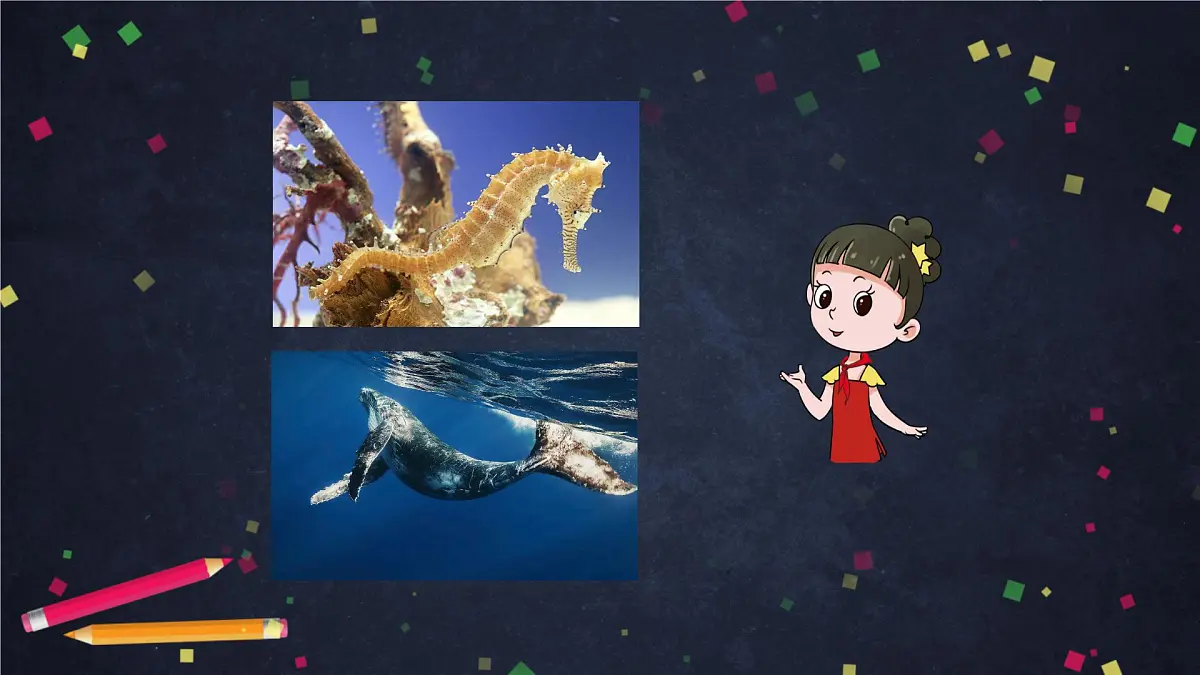 (湘科版)三年级科学上册2.2 鱼-课件第5页