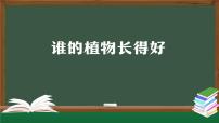 人教鄂教版（2024）二年级上册谁的植物长得好课前预习ppt课件
