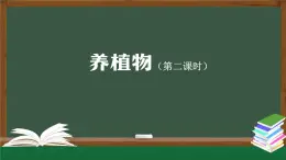 人教鄂教版二年級(jí)科學(xué)上冊(cè)第一單元 植物的生活 1 養(yǎng)植物(第二課時(shí))-課件